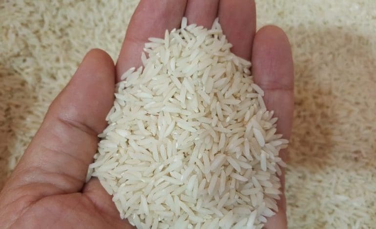 برنج ایران