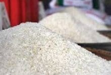 میوه و تره بار