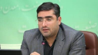 نیارکی