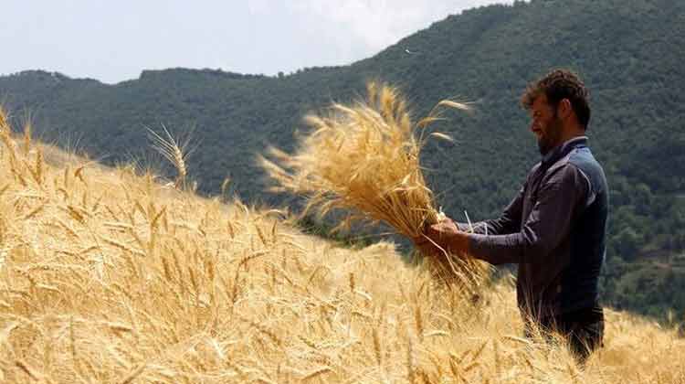 جهاد کشاورزی
