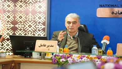 سعد-محمدی