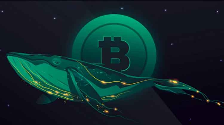 بیت-کوین