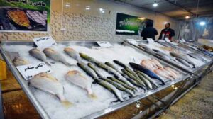 قیمت-ماهی