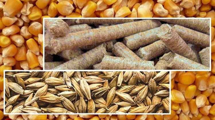 نهاده-های-دامی