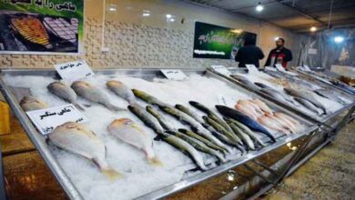 قیمت-ماهی