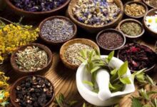 گیاهان-دارویی