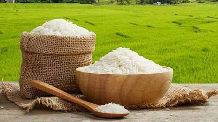 قیمت-برنج