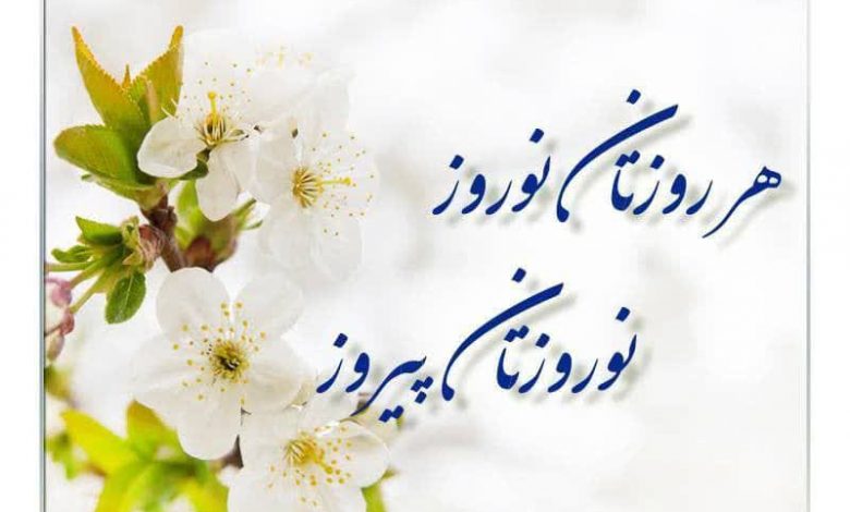 بیمه سامان