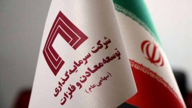 سرمایه‌ گذاری توسعه معادن و فلزات