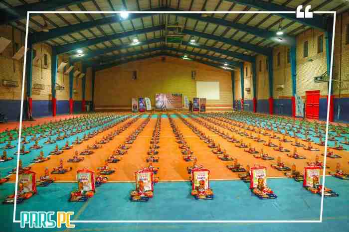 پتروشیمی پارس