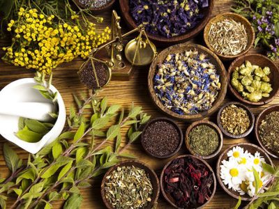 طرح گیاهان دارویی
