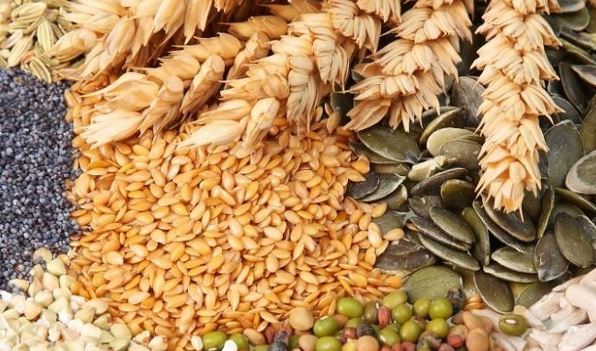 امنیت غذایی