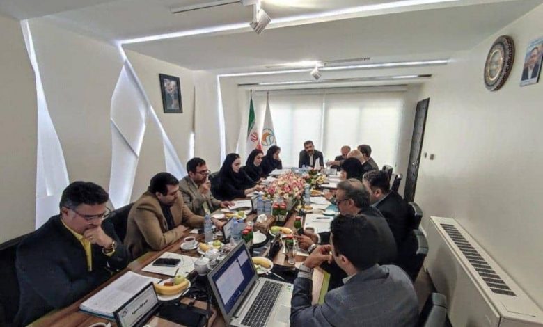 بیمه اتکایی ایران معین