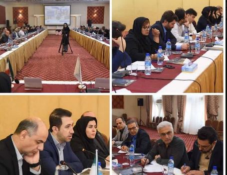 دانش بنیان