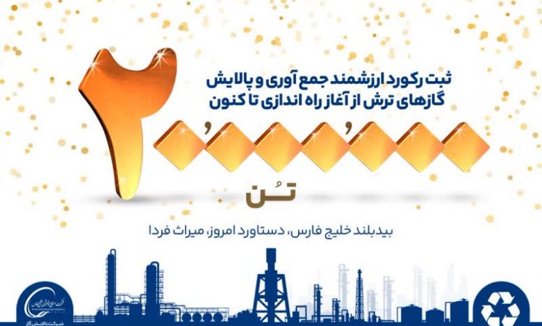 بیدبلند
