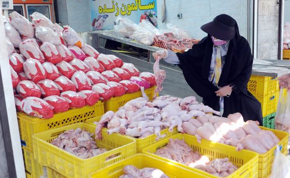 گوشت و مرغ