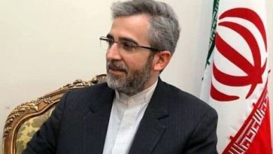 باقری کنی