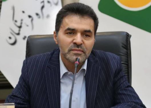 محسن احمدی