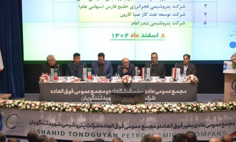 پتروشیمی تندگویان