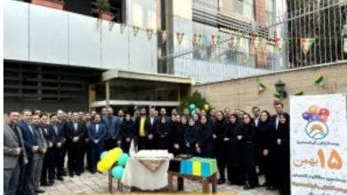 بیمه اتکایی ایران معین