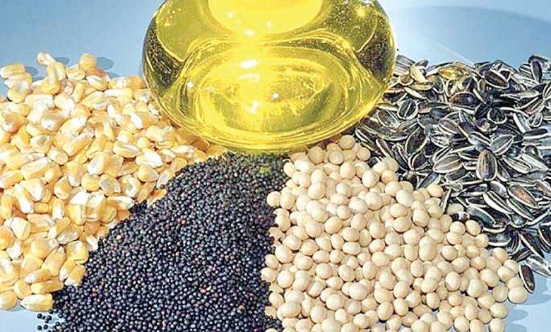دانه های روغنی