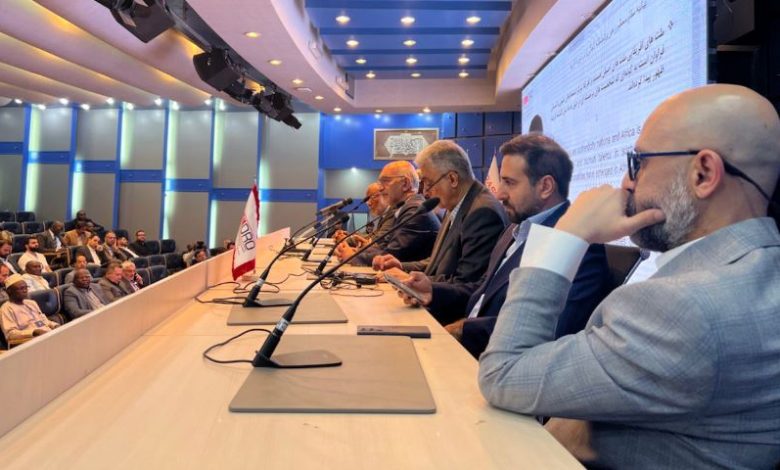 مدیر اقتصادی ایمیدرو