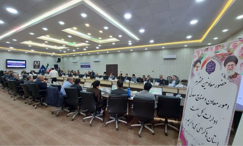 مدیر اجرایی طرح احیای معادن