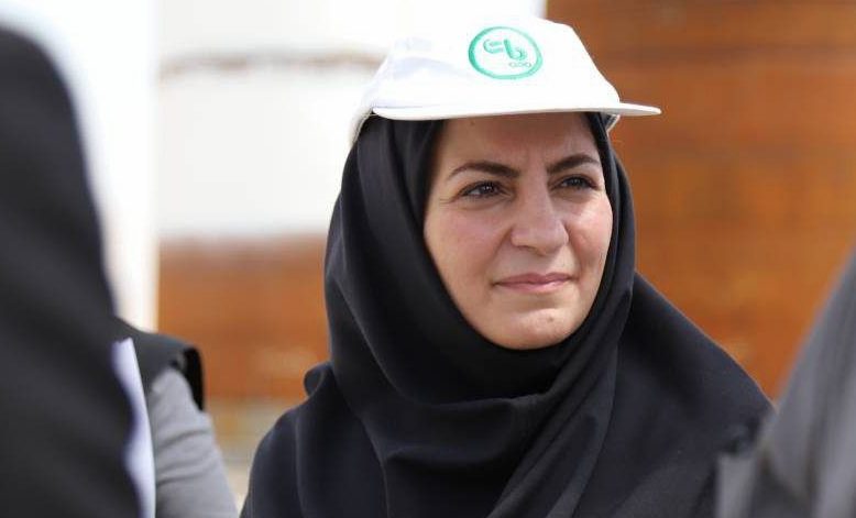 مدیر زیرساخت ایمیدرو