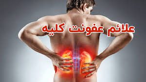 چرا دچار عفونی کلیه می شویم؟