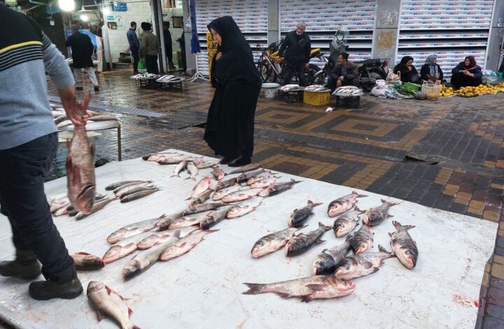بازار ماهی