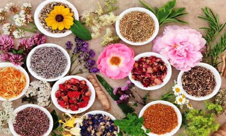 صادرات گیاهان دارویی