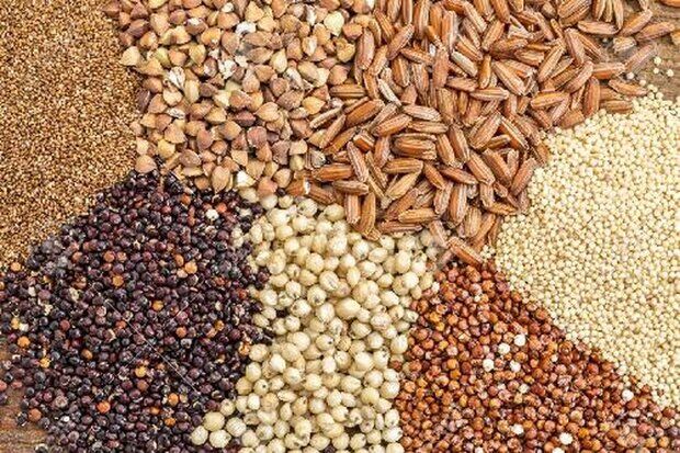 قیمت انواع نهاده های دامی