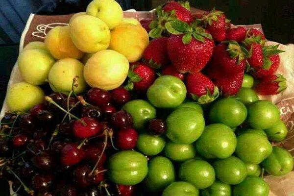 قیمت میوه و تره بار
