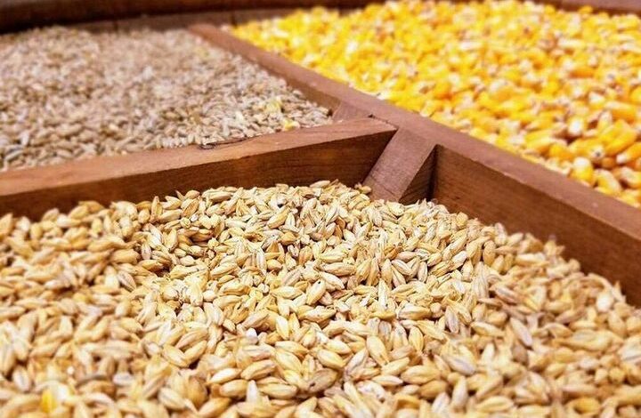 نهاده های دامی