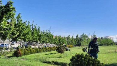 رسیدگی به فضای سبز