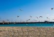 منطقه آزاد کیش