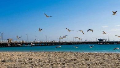 منطقه آزاد کیش