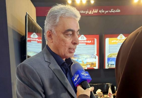 مدیرعامل سرمایه&zwnj;گذاری توسعه معادن و فلزات