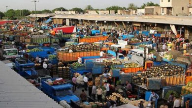 میادین میوه و تره‌بار