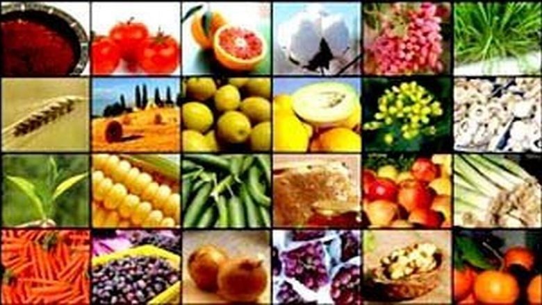 محصولات کشاورزی