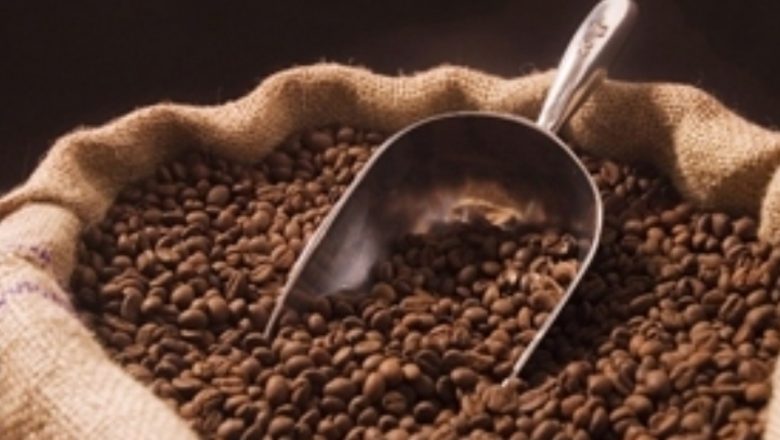واردات قهوه