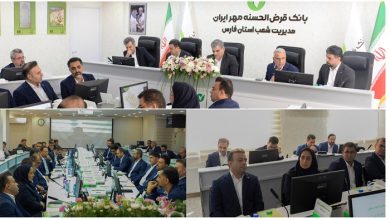 مدیرعامل بانک قرض الحسنه مهر ایران