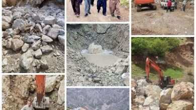 مدیر امور آبفای شهرستان پاوه