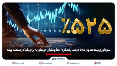 گزارش صورت‌های مالی