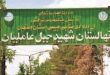 احیای نهالستان