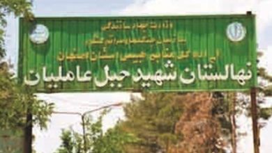 احیای نهالستان