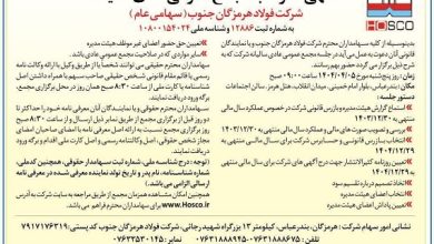 مجمع عمومی