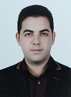 محمدرضا رزمی