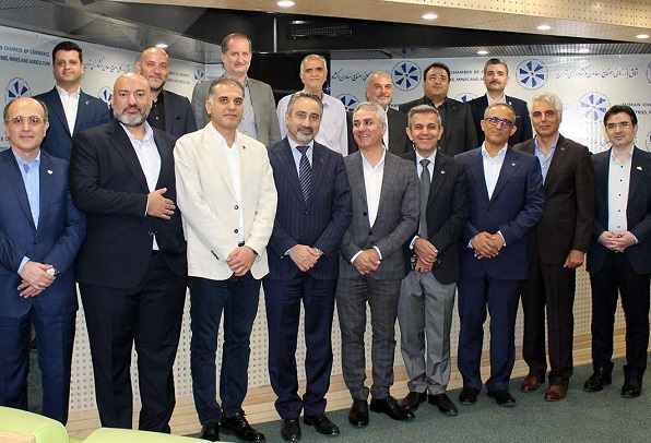 جامعه ممیزی و بازرسی ایران