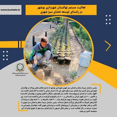 رئیس سازمان سیما